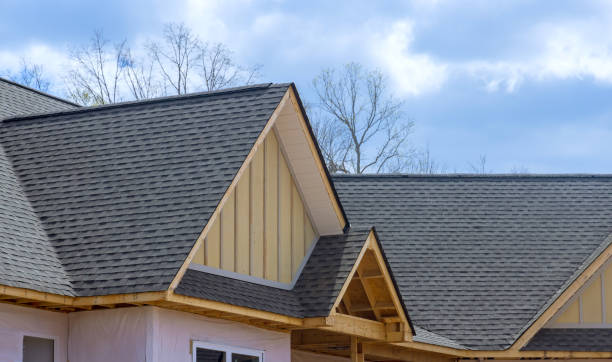 Best Roof Ventilation Installation  in Montpelier, VT